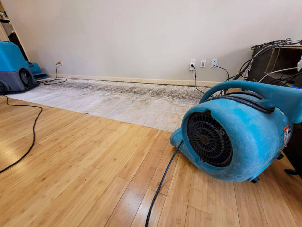 Professional Water Damage Repair technician working in Baldwinville, MA